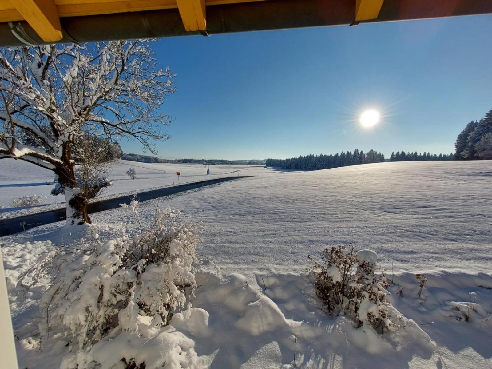Allgaeu Bergblick Leutkirch im Allgäu Exteriör bild
